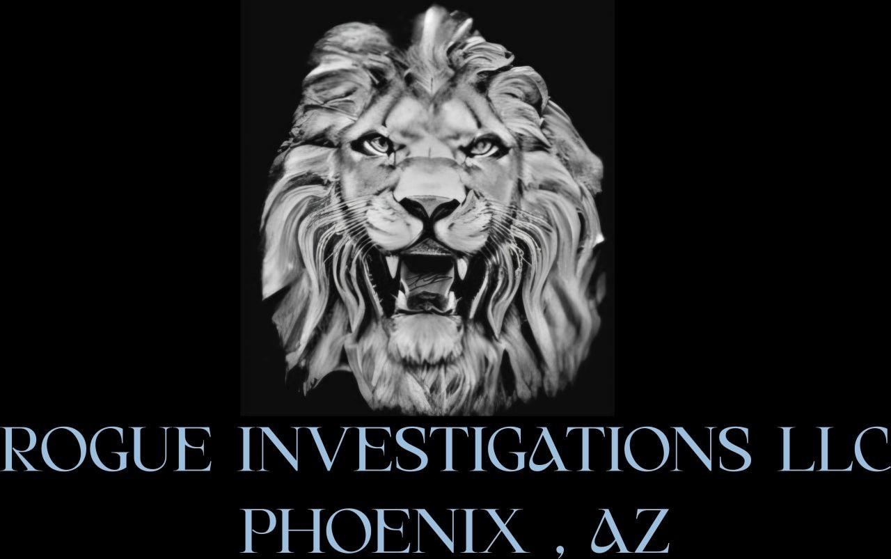 Rogue Investigations lead investigator